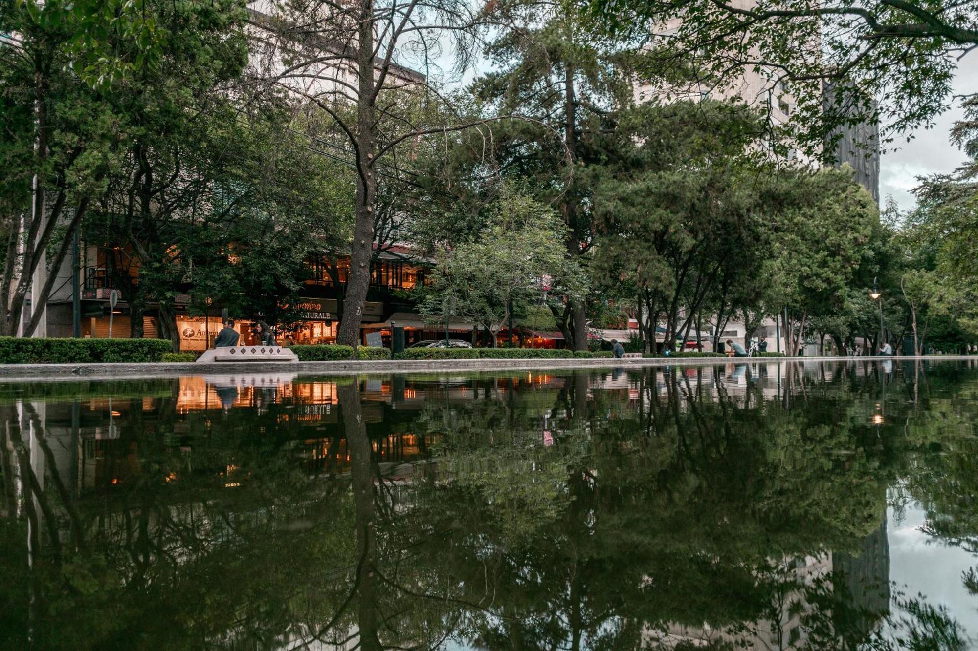 Casa Itzae B&B Polanquito Dog Friendly Cidade do México Exterior foto