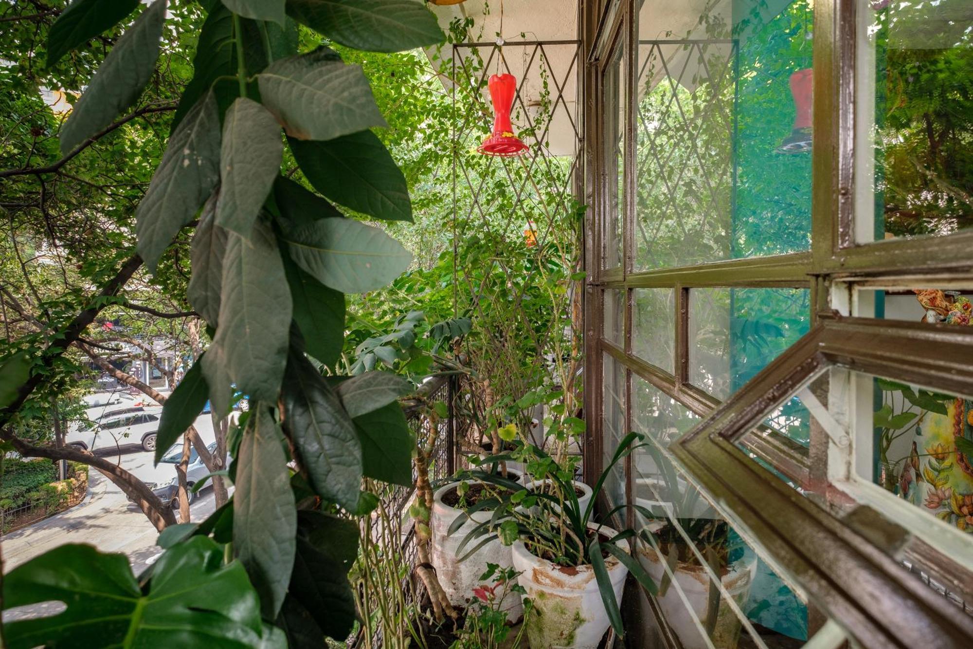 Casa Itzae B&B Polanquito Dog Friendly Cidade do México Exterior foto